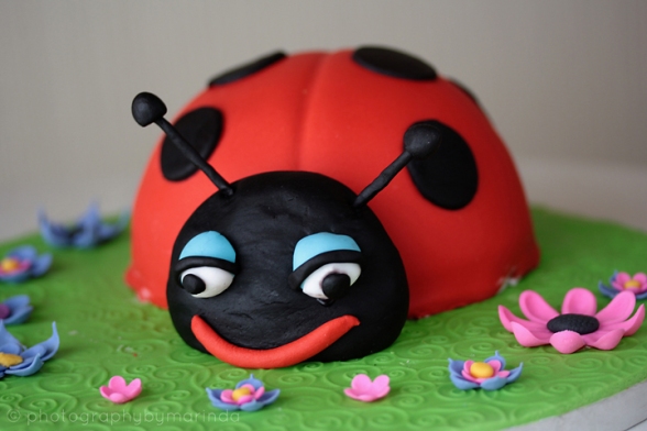 ladybird cake, cake decorating, cake decorating class in pretoria, speciality cakes,